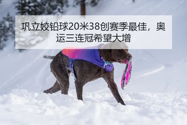 巩立姣铅球20米38创赛季最佳，奥运三连冠希望大增
